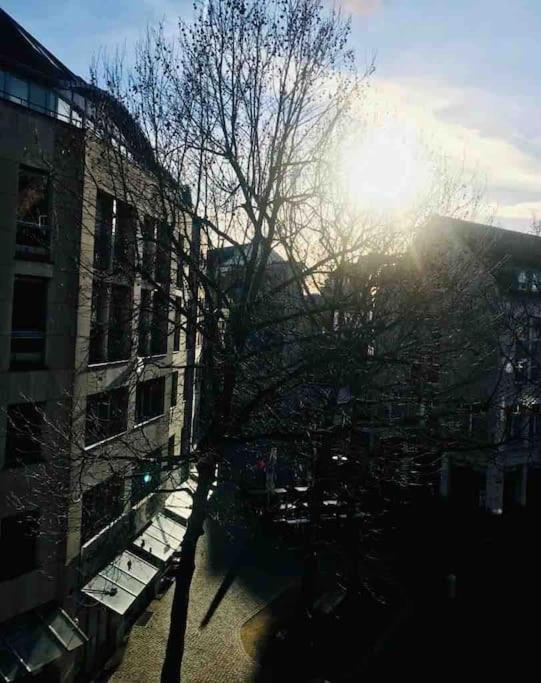 Charmantes 1Zi Apartment Im Herzen Von Braunschweig Mit Balkon Ngoại thất bức ảnh